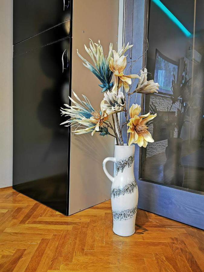 Appartamento Crystal Braşov